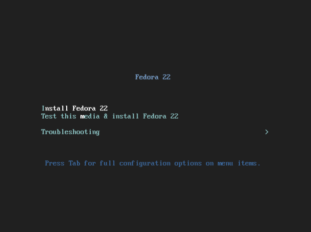 fedora 22 server install tutorial 1